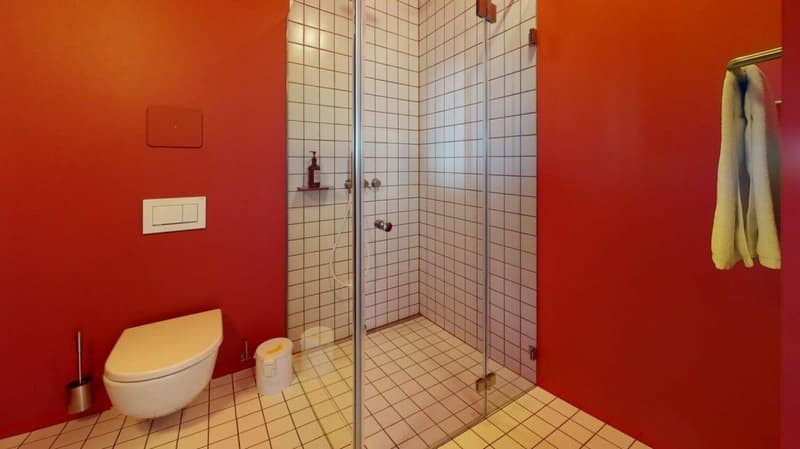 Living Directly on the Rhine in the St. Alban-Tal (6)
