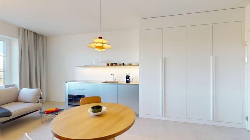 Living Directly on the Rhine in the St. Alban-Tal (2)