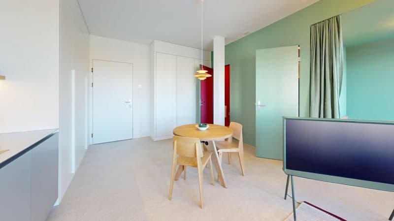 Living Directly on the Rhine in the St. Alban-Tal (4)