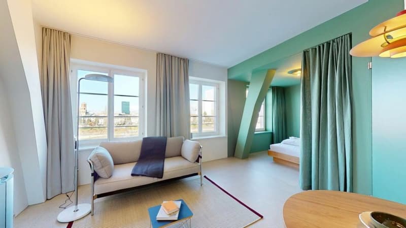 Living Directly on the Rhine in the St. Alban-Tal (1)