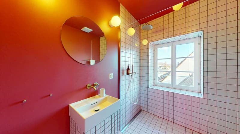 Living Directly on the Rhine in the St. Alban-Tal (7)