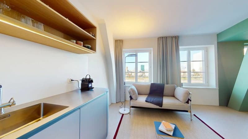 Living Directly on the Rhine in the St. Alban-Tal (5)