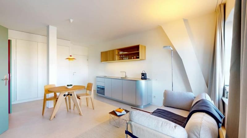 Living Directly on the Rhine in the St. Alban-Tal (2)