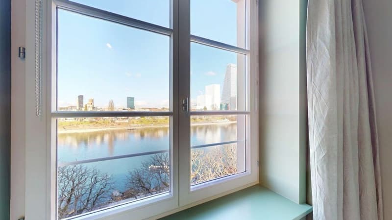 Living Directly on the Rhine in the St. Alban-Tal (6)