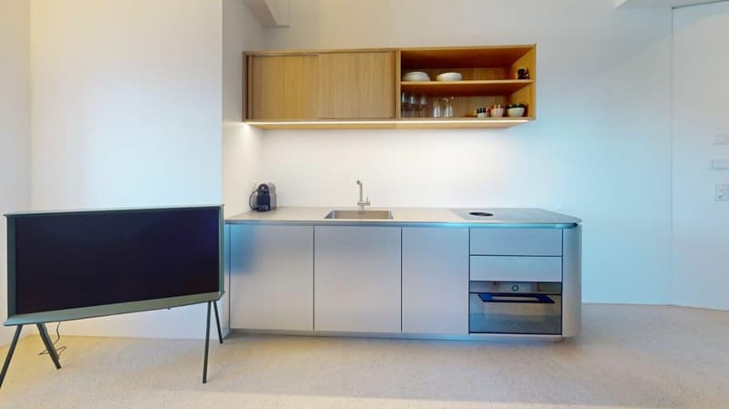 Living Directly on the Rhine in the St. Alban-Tal (4)