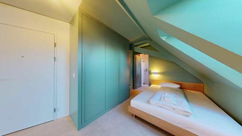 Living Directly on the Rhine in the St. Alban-Tal (3)