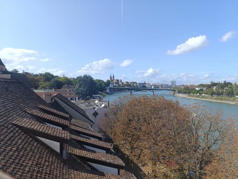Living Directly on the Rhine in the St. Alban-Tal (10)