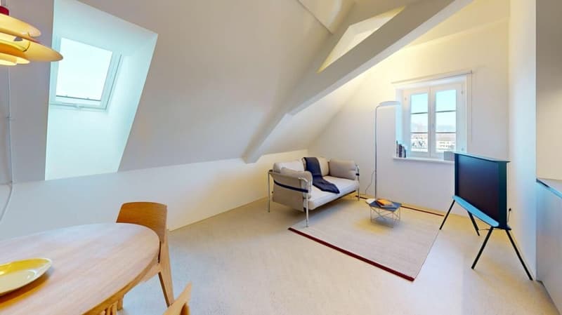 Living Directly on the Rhine in the St. Alban-Tal (1)