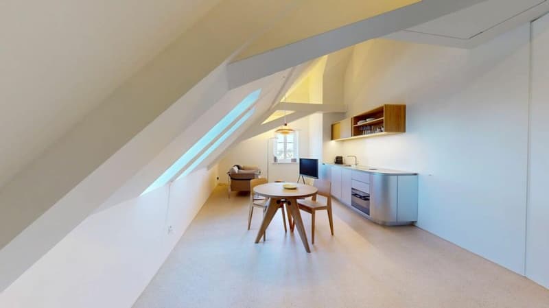 Living Directly on the Rhine in the St. Alban-Tal (2)