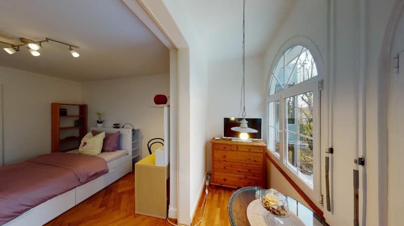 Unique Serviced Living @ Birsfelden (8)