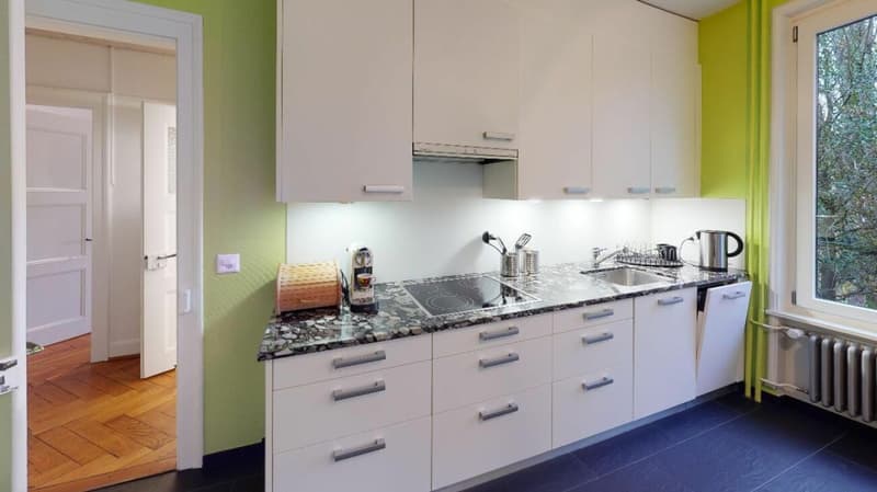 Unique Serviced Living @ Birsfelden (2)