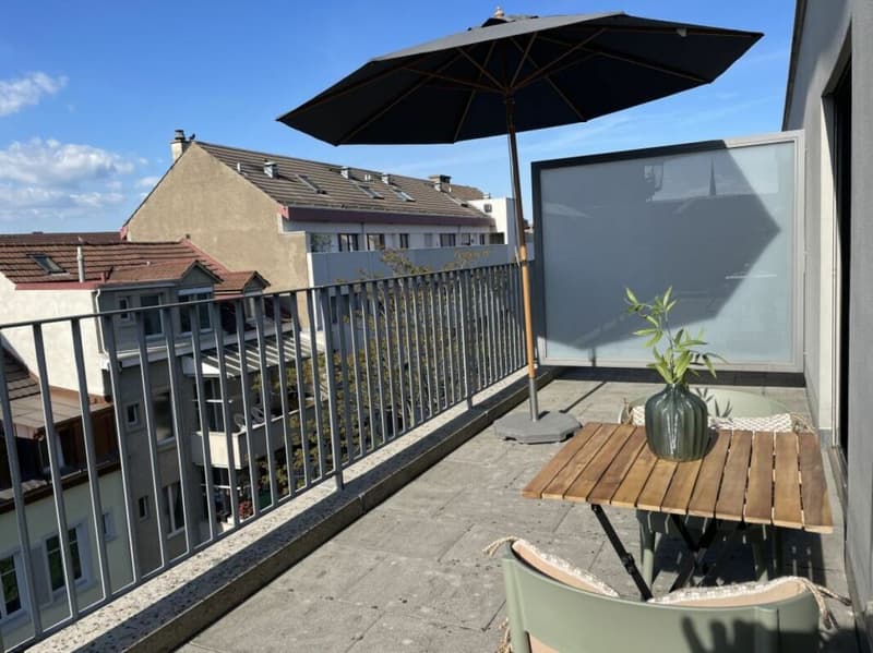 Unique Serviced Living @ Messe Basel Penthouse (10)