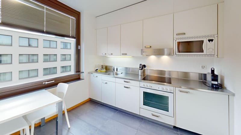 Unique Serviced Living @ Messe Basel Penthouse (5)