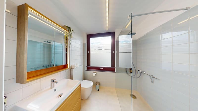Unique Serviced Living @ Messe Basel Penthouse (9)