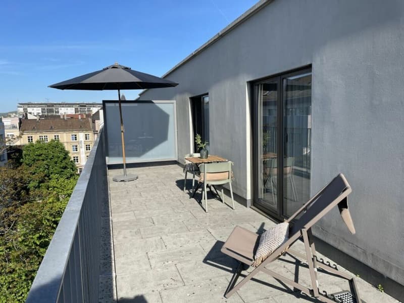 Unique Serviced Living @ Messe Basel Penthouse (2)
