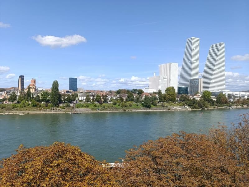 Wohnen direkt am Rhein (St. Alban-Tal) (11)