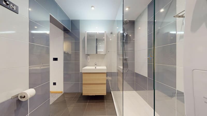 Unique Serviced Living @ Basel SBB / Gundeldingen (5)