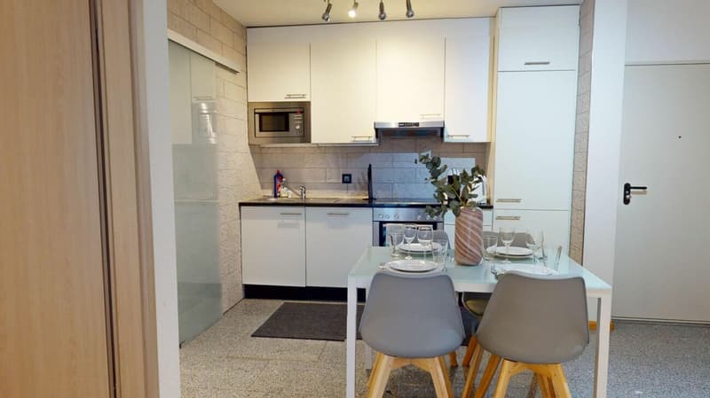 Unique Serviced Living @ Basel SBB / Gundeldingen (3)