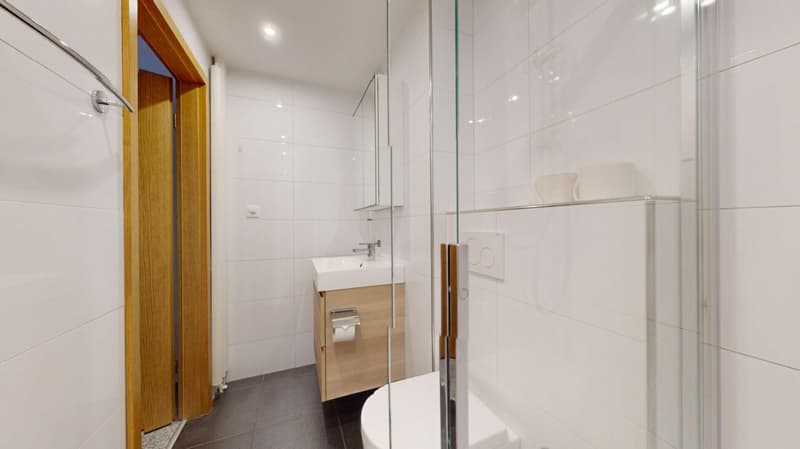 Unique Serviced Living @ Basel SBB / Gundeldingen (8)
