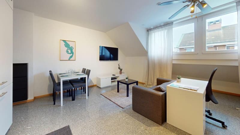 Unique Serviced Living @ Basel SBB / Gundeldingen (9)