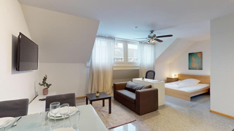Unique Serviced Living @ Basel SBB / Gundeldingen (1)