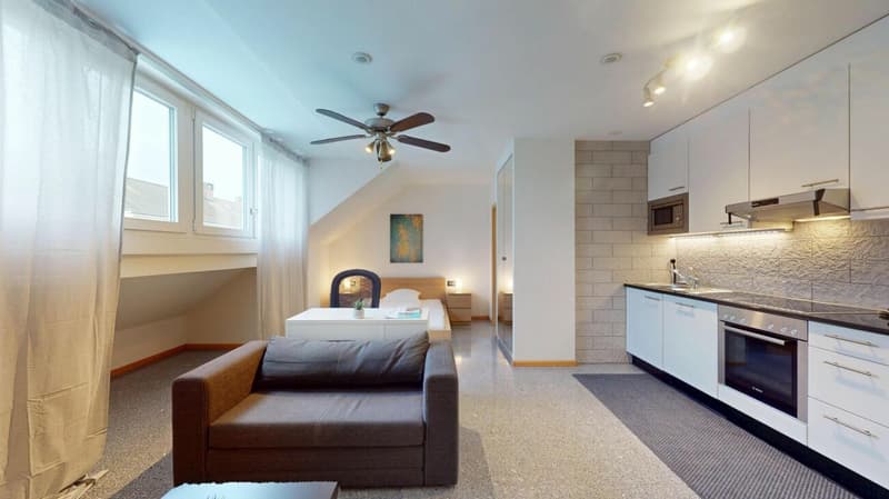 Unique Serviced Living @ Basel SBB / Gundeldingen (2)
