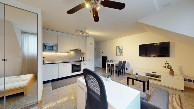 Unique Serviced Living @ Basel SBB / Gundeldingen (3)