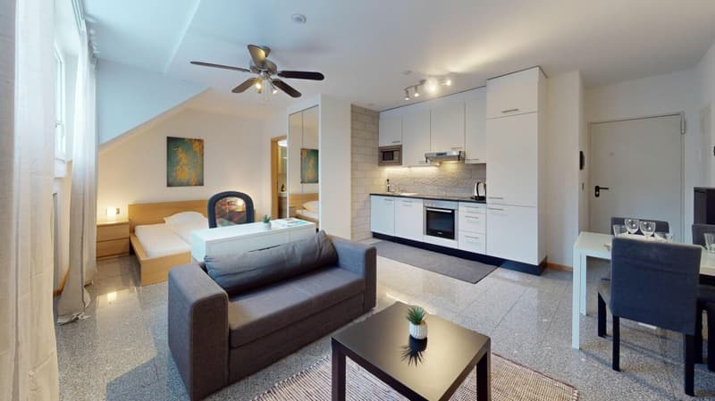 Unique Serviced Living @ Basel SBB / Gundeldingen (6)