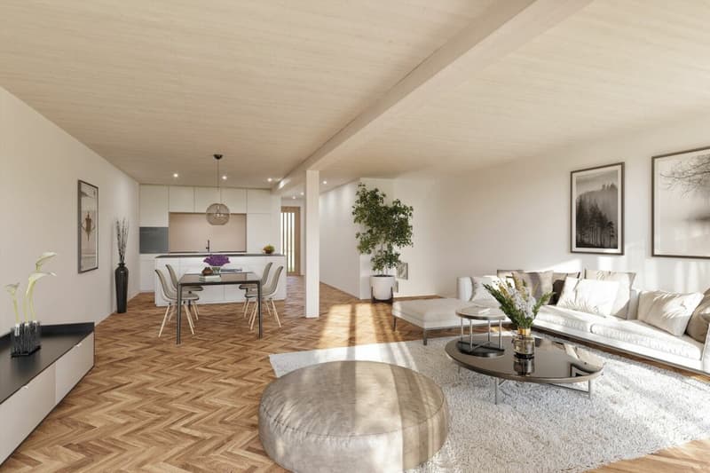 Premium Duplexwohnung in Neubauprojekt mit grossem Hobbykeller - sofort bezugbereit! (1)