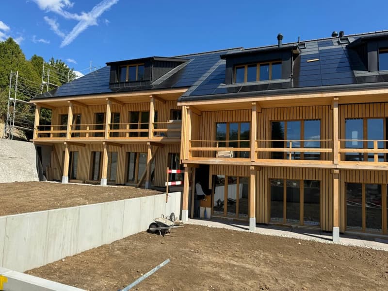 Premium 3.5 Zimmer-Dachwohnung auf 2 Ebenen in Neubauprojekt - sofort bezugsbereit! (3)