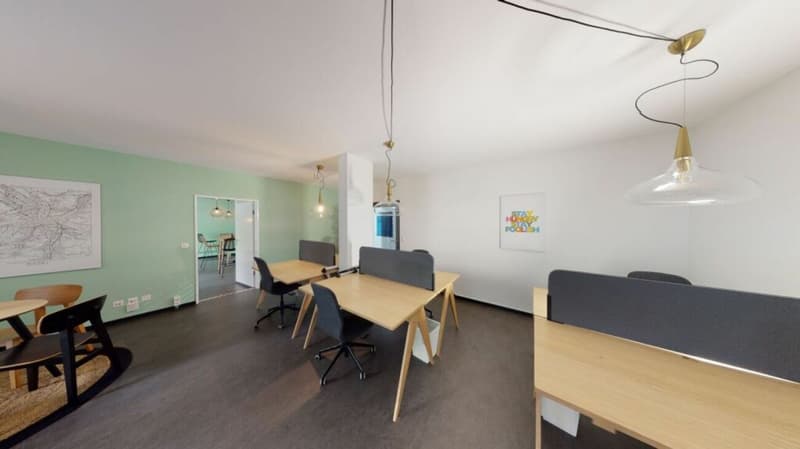 Unique Serviced Living @ Messe Basel Penthouse (17)