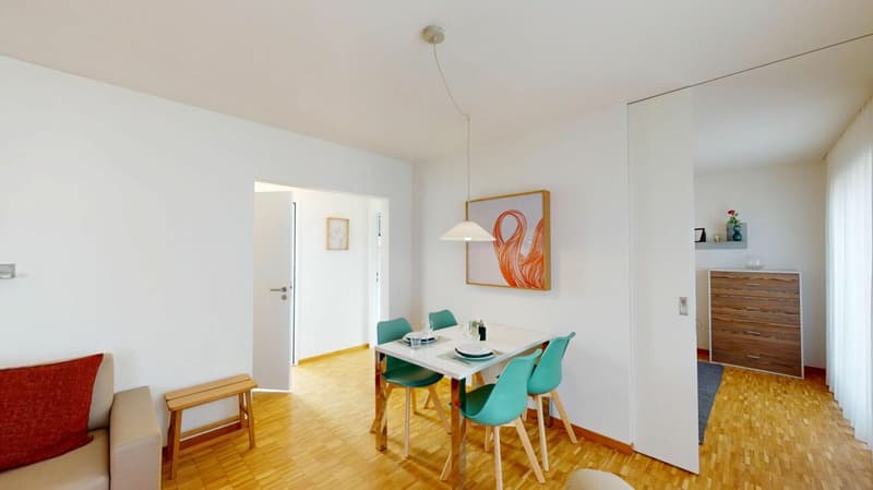 Unique Serviced Living @ Messe Basel Penthouse (4)