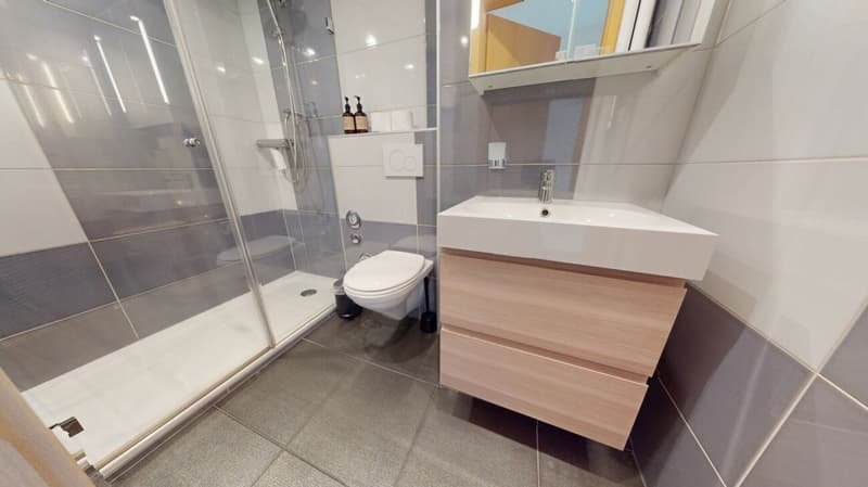 Unique Serviced Living @ Basel SBB / Gundeldingen (4)
