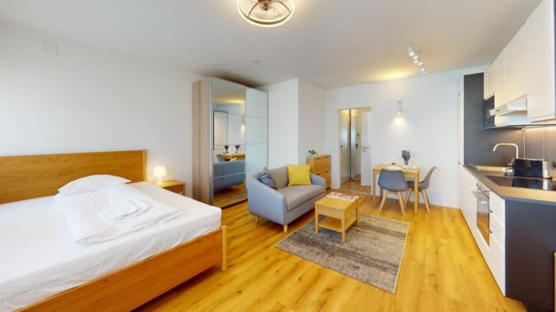 Unique Serviced Living @ Basel SBB / Gundeldingen (2)