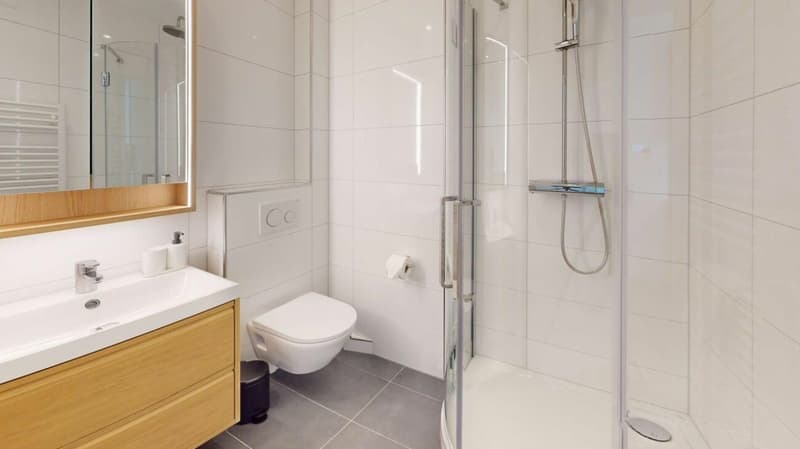 Unique Serviced Living @ Basel SBB / Gundeldingen (6)