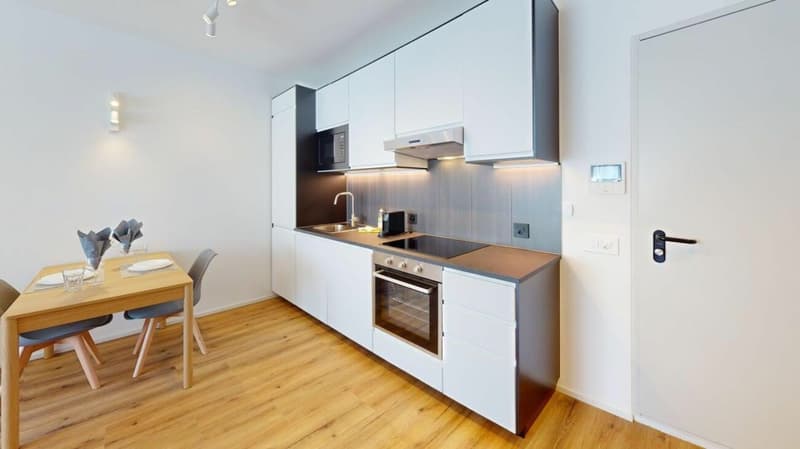 Unique Serviced Living @ Basel SBB / Gundeldingen (4)