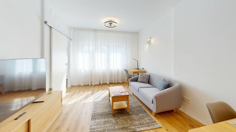 Unique Serviced Living @ Basel SBB / Gundeldingen (1)
