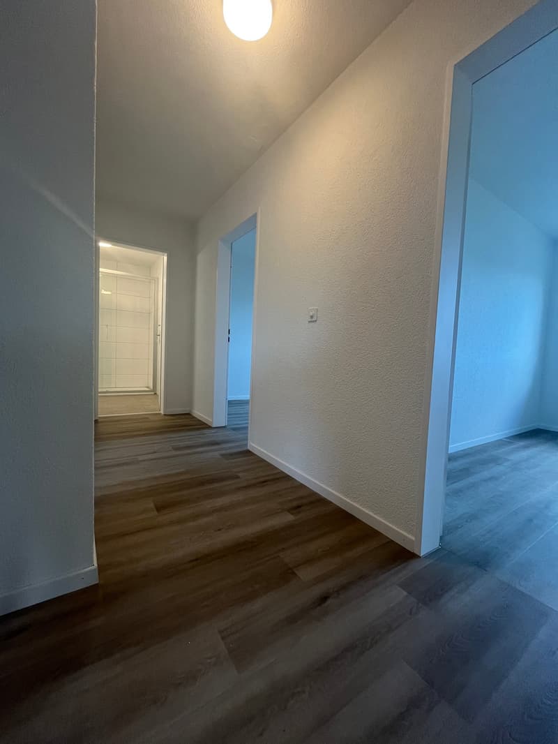 What more could you want? Newly renovated 4.5 room apartment! (7)