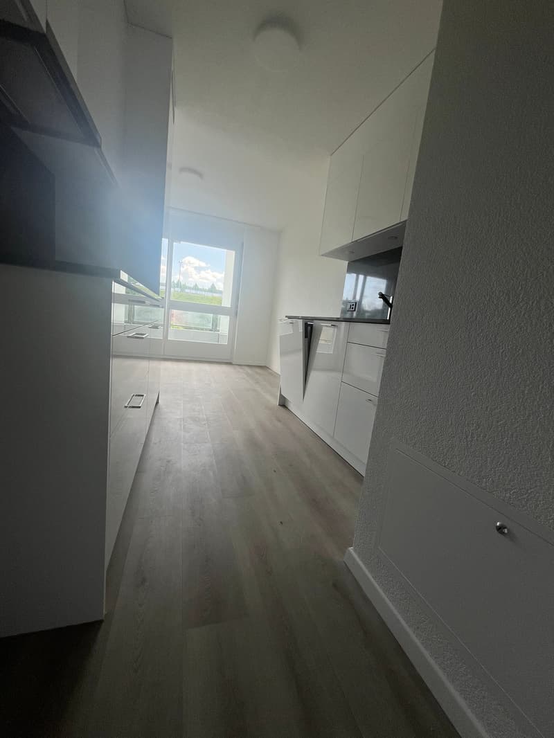 What more could you want? Newly renovated 4.5 room apartment! (2)