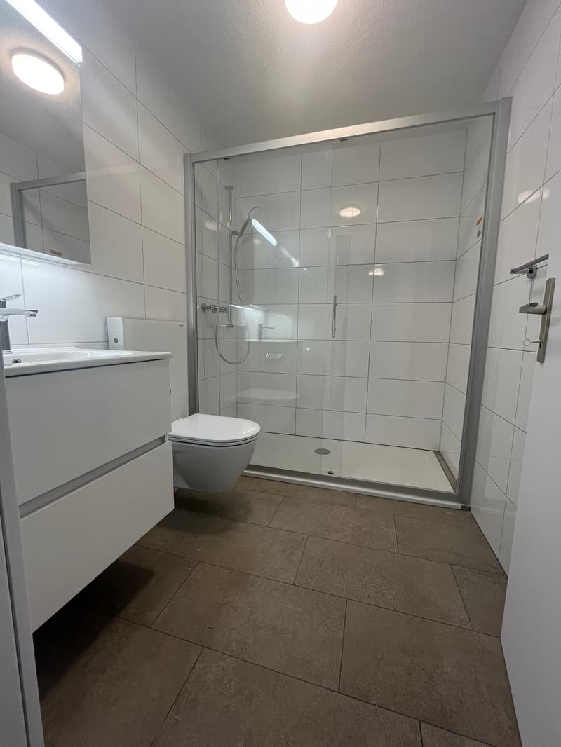 What more could you want? Newly renovated 4.5 room apartment! (5)