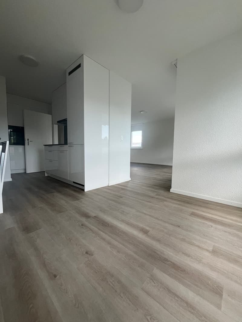 What more could you want? Newly renovated 4.5 room apartment! (1)