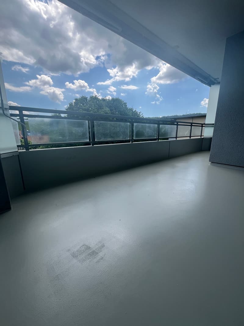 What more could you want? Newly renovated 4.5 room apartment! (10)