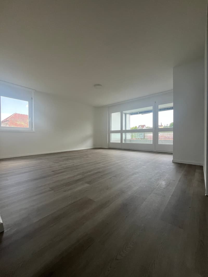 What more could you want? Newly renovated 4.5 room apartment! (3)