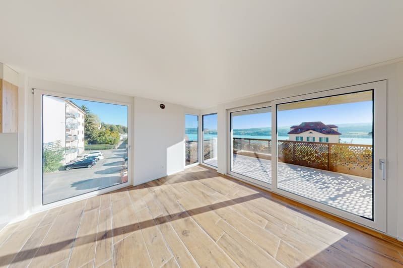 Dream apartment! (4)