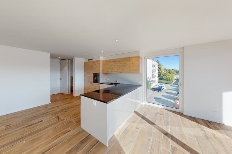 Dream apartment! (1)