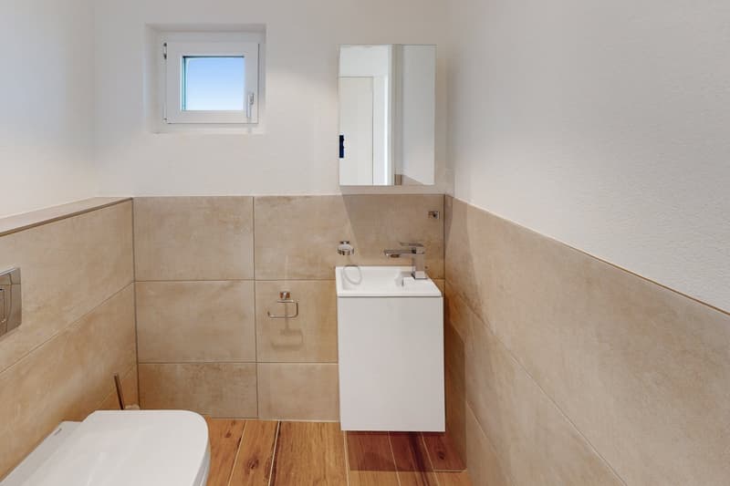 Dream apartment! (9)