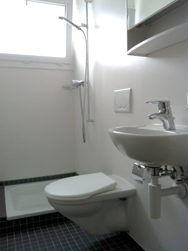 Appartement confortable de 4,5 pièces au 2e étage dans un quartier calme (4)