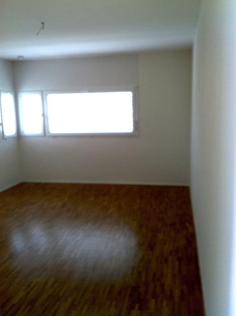 Appartement confortable de 4,5 pièces au 2e étage dans un quartier calme (7)