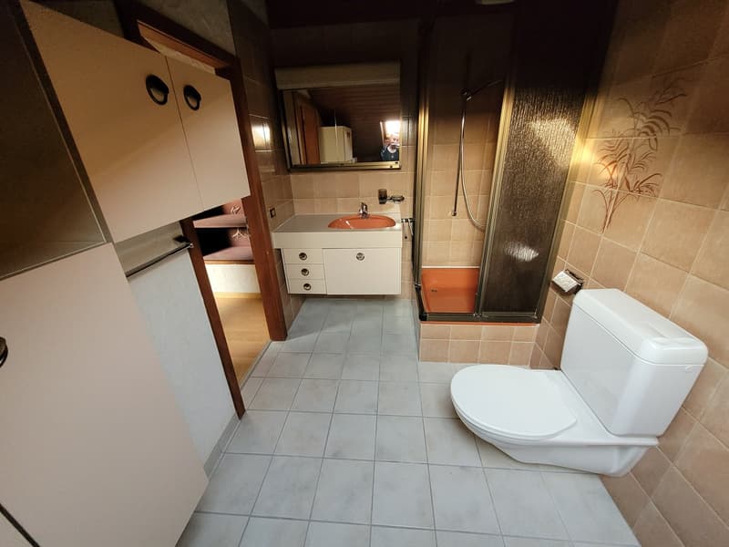 Charmante 5.5-Zimmerwohnung mit Galerie und viel Charakter (4)