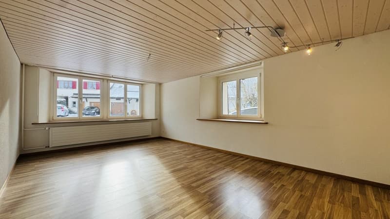 Low-maintenance two-family house with 2 residential units, garage, and 4-5 parking spaces in Ramlinsburg (5)